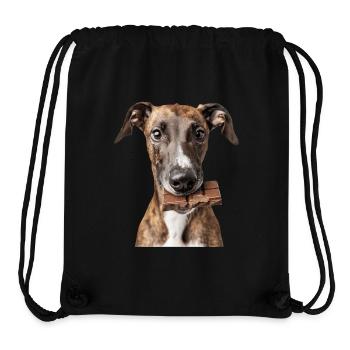 Windhund - Stanley/Stella recycelter Gym Bag - Schwarz - Vorne