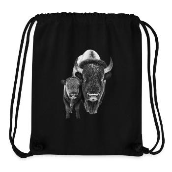 Bison - Stanley/Stella recycelter Gym Bag - Schwarz - Vorne