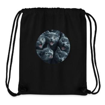 Russisch Blau - Stanley/Stella recycelter Gym Bag - Schwarz - Vorne
