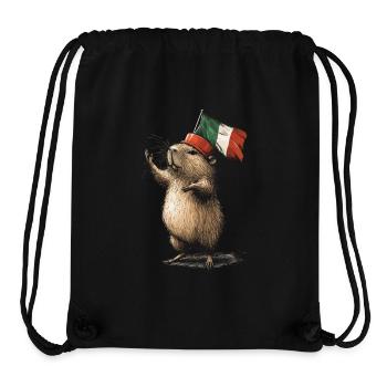 Wasserschwein - Stanley/Stella recycelter Gym Bag - Schwarz - Vorne