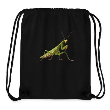 Gottesanbeterinnenen Gottesanbeterin - Stanley/Stella recycelter Gym Bag - Schwarz - Vorne