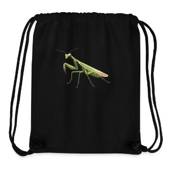 Gottesanbeterinnenen Gottesanbeterin - Stanley/Stella recycelter Gym Bag - Schwarz - Vorne