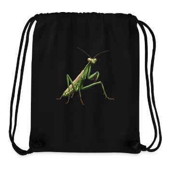Gottesanbeterinnenen Gottesanbeterin - Stanley/Stella recycelter Gym Bag - Schwarz - Vorne