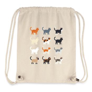 Cats Illustration Grid - Stanley/Stella Recycled Gym Bag - natural - Front