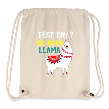 Testtag No Prob Llama - Stanley/Stella recycelter Gym Bag - Naturweiß - Vorne