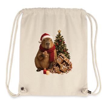 Christmas Capybara Advent Magic - Stanley/Stella Recycled Gym Bag - natural - Front
