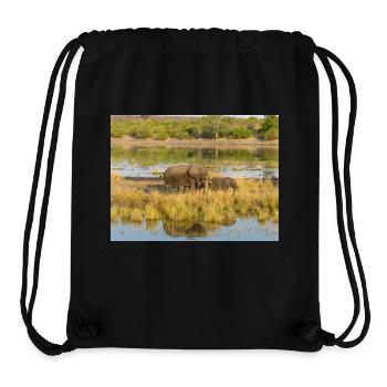 elephants at the water in Namibia Africa - Stanley/Stella Recycled Gym Bag - black - Front