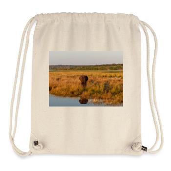 elephant at the water in Namibia Africa - Stanley/Stella Recycled Gym Bag - natural - Front