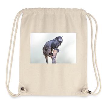 Tamarin à manteau noir Schwarzrückentamarin - Sac à cordon recyclé Stanley/Stella - blanc naturel - Devant