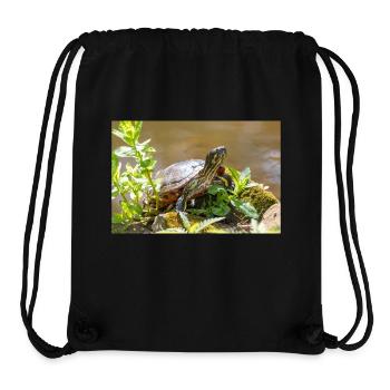 Yellow-bellied slider Gelbbauch-Schmuckschildkröte - Stanley/Stella recycelter Gym Bag - Schwarz - Vorne