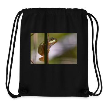 Tree frog - Stanley/Stella Recycled Gym Bag - black - Front