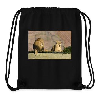 Male and female lion CSC 0814 - Stanley/Stella Recycled Gym Bag - black - Front