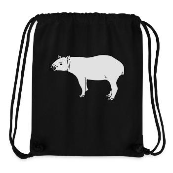 Tapir - Stanley/Stella recycelter Gym Bag - Schwarz - Vorne