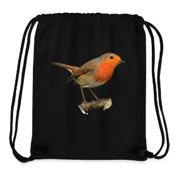 Rotkehlchen1 Robin - Stanley/Stella recycelter Gym Bag - Schwarz - Vorne