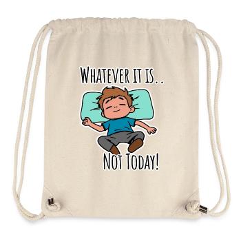 No matter what it is about - not today! - Stanley/Stella Recycled Gym Bag - natural - Front