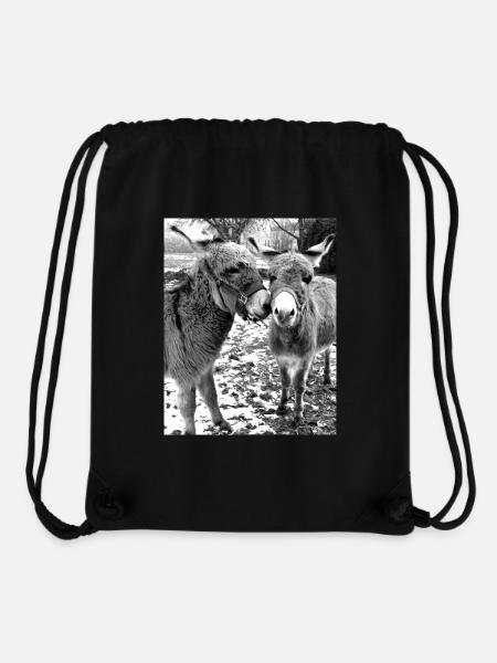Zwei Esel - Stanley/Stella recycelter Gym Bag - Schwarz