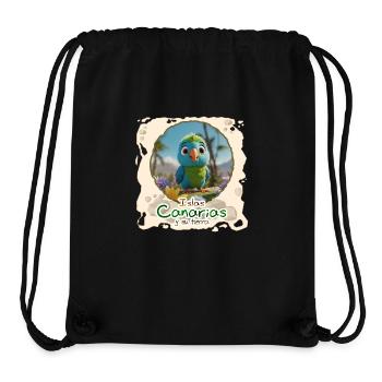 Sittich - Stanley/Stella recycelter Gym Bag - Schwarz - Vorne