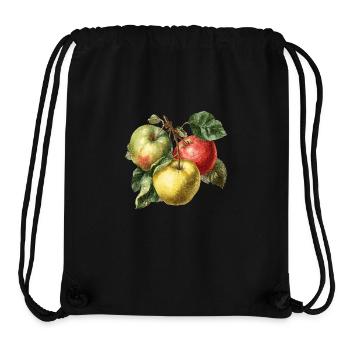 Apfel - Stanley/Stella recycelter Gym Bag - Schwarz - Vorne