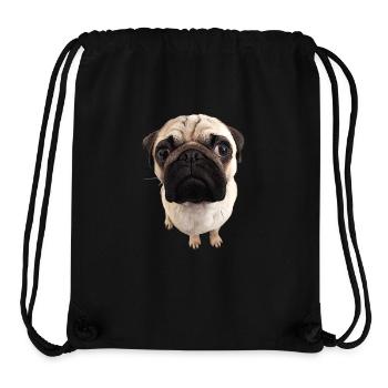 Pug views - Stanley/Stella Recycled Gym Bag - black - Front