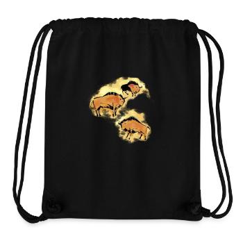 Bison - Stanley/Stella Recycled Gym Bag - black - Front