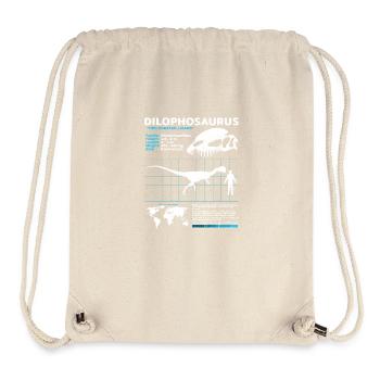 Dilophosaurus Datenblatt - Stanley/Stella recycelter Gym Bag - Naturweiß - Vorne