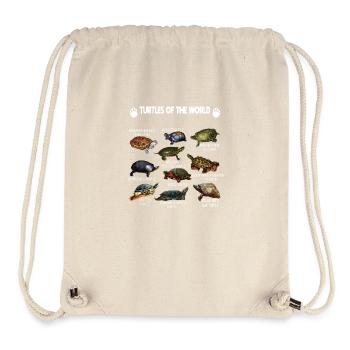 Types of Turtles Turtles of the World Vintage - Stanley/Stella Recycled Gym Bag - natural - Front