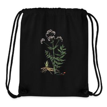 Baldrian (Valeriana officinalis) - Stanley/Stella recycelter Gym Bag - Schwarz - Vorne