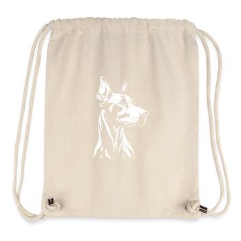 Doberman - Dog Fan - Stanley/Stella Recycled Gym Bag - natural - Front