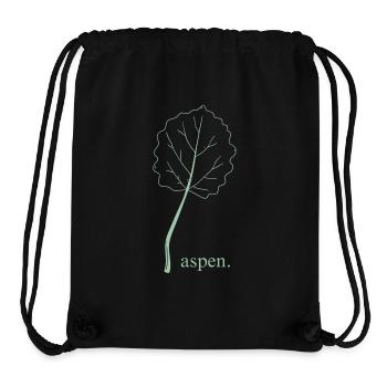 aspen. - Stanley/Stella recycelter Gym Bag - Schwarz - Vorne