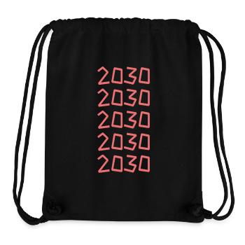 2030 - Stanley/Stella Recycled Gym Bag - black - Front