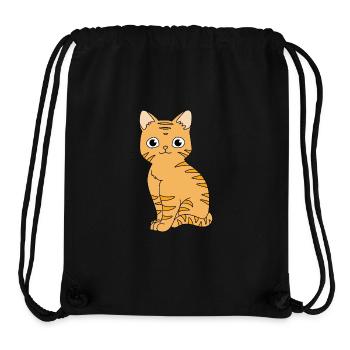 Tabby Cat - Stanley/Stella Recycled Gym Bag - black - Front