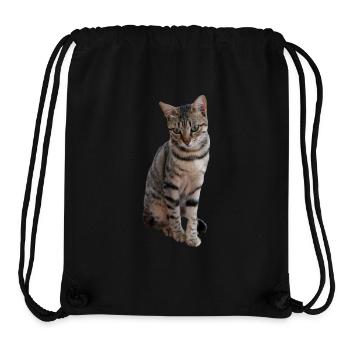 Katze Kätzchen Tigerkatze Katzenshirt Geschenk - Stanley/Stella recycelter Gym Bag - Schwarz - Vorne