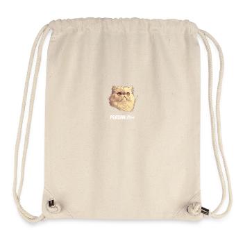 Persian Cat Perserkatze - Stanley/Stella Recycled Gym Bag - natural - Front