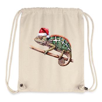 Christmas Chameleon - Stanley/Stella Recycled Gym Bag - natural - Front