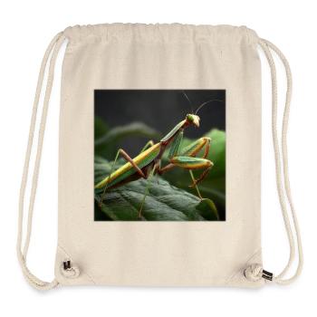 Praying mantis Makro – Elegant mantis - Stanley/Stella Recycled Gym Bag - natural - Front