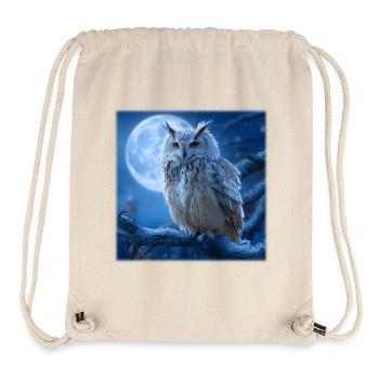 Schnee-Eule im Vollmond: Magische Winternacht - Stanley/Stella recycelter Gym Bag - Naturweiß - Vorne