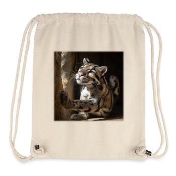 Clouded leopards in the sunlight Elegant wildcats - Stanley/Stella Recycled Gym Bag - natural - Front