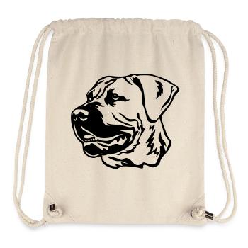 Boerboel Head - Stanley/Stella Recycled Gym Bag - natural - Front