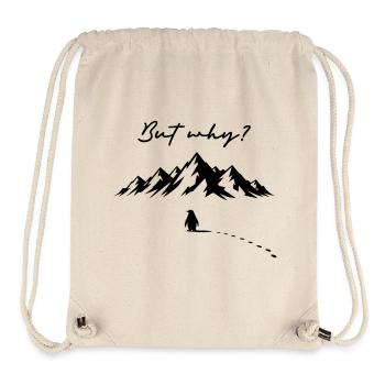 But why? Pinguin Meme Fußspuren Eis Berge Eisberg - Stanley/Stella Recycled Gym Bag - natural - Front