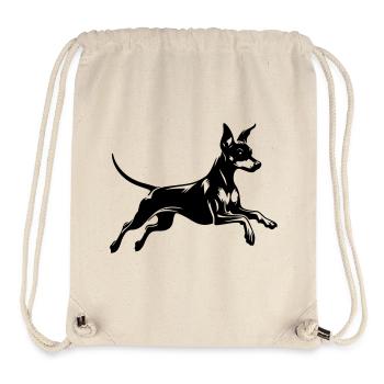 Zwergpinscher - Stanley/Stella recycelter Gym Bag - Naturweiß - Vorne