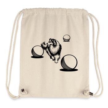 Long-haired Collie Treibball Sport 2 (dyeable) - Stanley/Stella Recycled Gym Bag - natural - Front