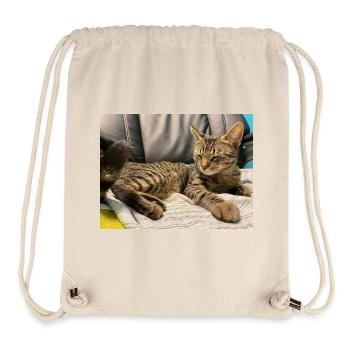 Gemütliche Tigerkatze im Licht - Stanley/Stella recycelter Gym Bag - Naturweiß - Vorne