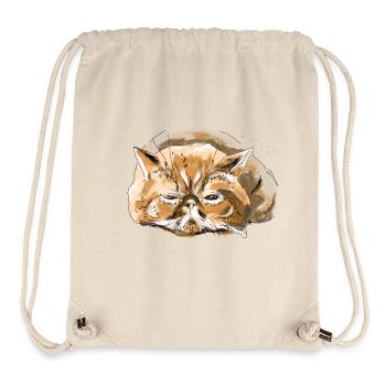 Persian cat cat - Stanley/Stella Recycled Gym Bag - natural - Front