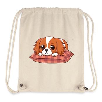 Adorable Puppy on Plaid Cushion - Stanley/Stella Recycled Gym Bag - natural - Front