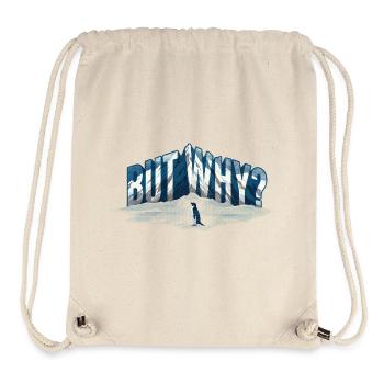 Nihilist Penguin But Why? - Stanley/Stella Recycled Gym Bag - natural - Front