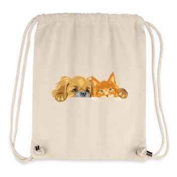 Pekingese dog and Ginger Maine Coon cat - Stanley/Stella Recycled Gym Bag - natural - Front