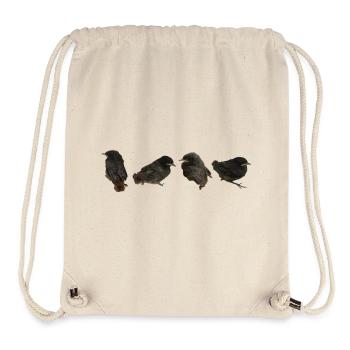 House redstart branches - Stanley/Stella Recycled Gym Bag - natural - Front