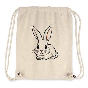 Sketched Rabbit with Long Ears - Stanley/Stella Recycled Gym Bag - natural - Front