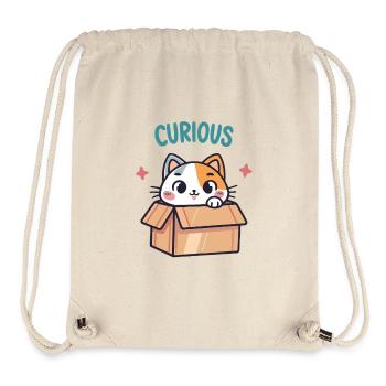 Curious Cat in its Box - Stanley/Stella Recycled Gym Bag - natural - Front