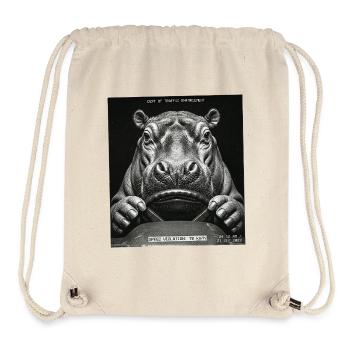 Hippopotamus Radar Control Speed Cameras - Stanley/Stella Recycled Gym Bag - natural - Front